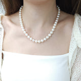 8-8.5mm 經典日本Akoya珍珠渾身項鏈 - WILLS JEWELLERY