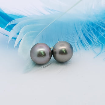 經典大溪地黑珍珠耳環 (8 - 9mm) - WILLS JEWELLERY