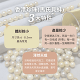 《港式 • 一盅兩件》香港Akoya珍珠耳環 - WILLS JEWELLERY