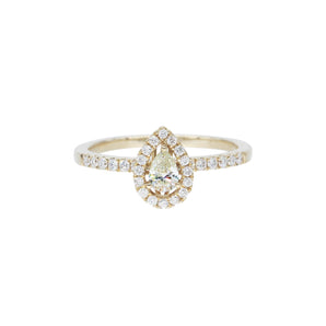 梨形黃鑽經典圍石戒指 - WILLS JEWELLERY