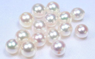 【什麼是Akoya珍珠】 - WILLS JEWELLERY