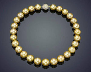 【南洋珍珠解說】認識天然金珍珠 - WILLS JEWELLERY