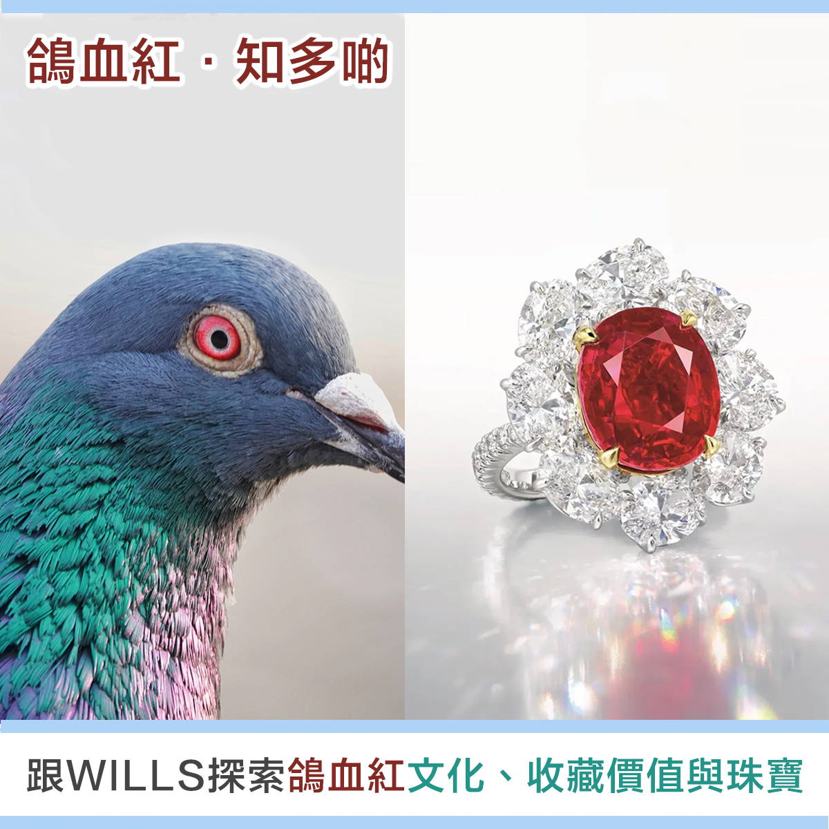 【寶石知識】鴿血紅色寶石 - 歷史文化、收藏價值與珠寶首飾設計
