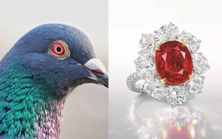 【寶石知識】鴿血紅色寶石 - 歷史文化、收藏價值與珠寶首飾設計 - WILLS JEWELLERY