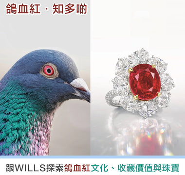 【寶石知識】鴿血紅色寶石 - 歷史文化、收藏價值與珠寶首飾設計 - WILLS JEWELLERY