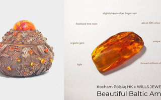 WILLS 寶石知識 ~ 美麗的波羅的海琥珀 - WILLS JEWELLERY