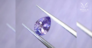 WILLS 寶石知識【藍寶石中的紫羅蘭】 - WILLS JEWELLERY