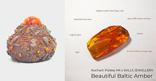 WILLS 寶石知識 ~ 美麗的波羅的海琥珀 - WILLS JEWELLERY