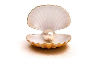 ～ WILLS 小知識大智慧 ～ 六月誕生石 : 大自然最珍貴的禮物 - 珍珠 - WILLS JEWELLERY