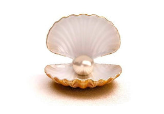 ～ WILLS 小知識大智慧 ～ 六月誕生石 : 大自然最珍貴的禮物 - 珍珠 - WILLS JEWELLERY