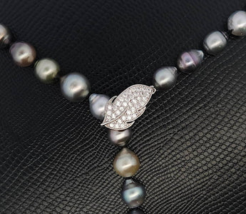 WILLS 款式鑒賞 ~  黑夜彩虹  · 天然大溪地黑珍珠項鏈 - WILLS JEWELLERY