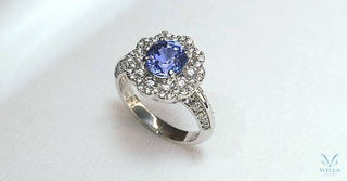 WILLS 款式鑒賞 ~ 圍鑽戒指．薰衣草藍色藍寶石 - WILLS JEWELLERY