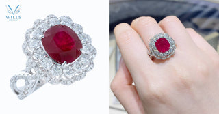 WILLS 款式鑒賞 ~ 花樣紅寶石交織肶鑽石戒指 - WILLS JEWELLERY