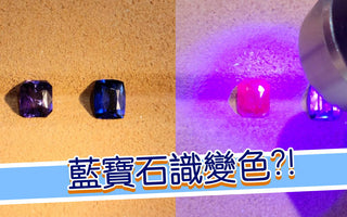 【WILLS LIVE TALK 解說】絕對要收藏的變色藍寶石 - WILLS JEWELLERY
