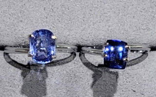 【WILLS LIVE TALK】皇家藍&矢車菊藍大不同 - WILLS JEWELLERY