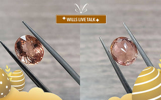 【WILLS LIVE TALK】經典蛋形 - Mixed Cut切割寶石 - WILLS JEWELLERY