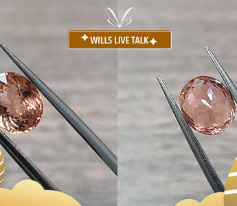 【WILLS LIVE TALK】經典蛋形 - Mixed Cut切割寶石 - WILLS JEWELLERY