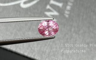 【WILLS LIVE TALK】1.51ct 無燒粉橙Padparadscha - WILLS JEWELLERY