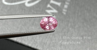 【WILLS LIVE TALK】1.51ct 無燒粉橙Padparadscha - WILLS JEWELLERY