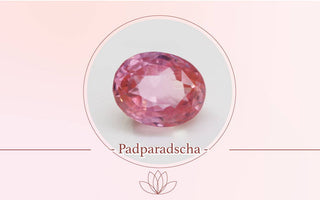 【WILLS LIVE TALK】Padparadscha 色彩篇 - WILLS JEWELLERY