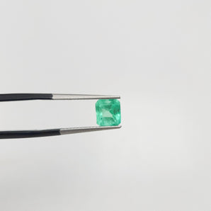 1.19ct 天然祖母綠切割綠寶石 (附証書) - WILLS JEWELLERY