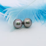 經典大溪地黑珍珠耳環 (8 - 9mm) - WILLS JEWELLERY