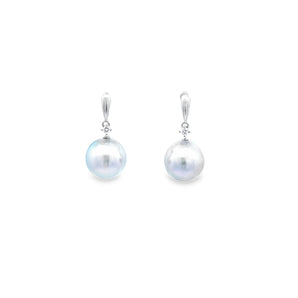 垂吊耳環・日本Akoya銀藍色珍珠 - WILLS JEWELLERY