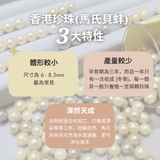 《港式 • 一盅兩件》香港Akoya珍珠耳環 - WILLS JEWELLERY