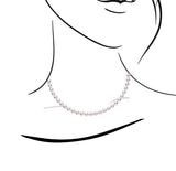 【網店限定】7-7.5mm 經典日本Akoya珍珠渾身項鏈 - WILLS JEWELLERY