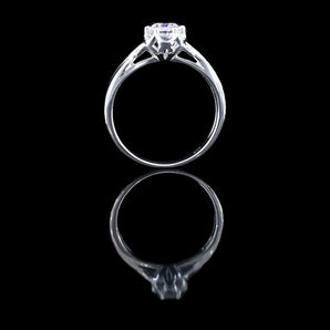 經典六爪花樣教堂式扭紋鑽石戒指款式 - WILLS JEWELLERY